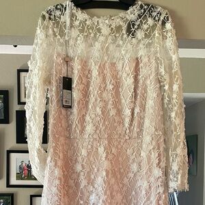 Tadashi Shoji NVT off white with nude lining with beautiful 3D floral appliqué.